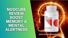 NooCube Review: Boost Memory & Mental Alertness